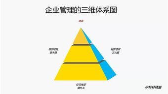 企业管理的三维体系构建